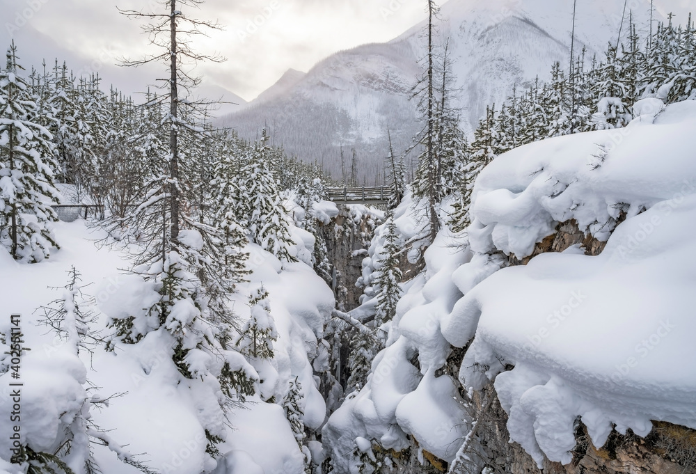 Winter view of Marble Canyon and Tokkum Creek in Kootenay National Park, British Columbia, Canada Winter view of Marble Canyon and Tokkum Creek in Kootenay National Park, British Columbia, Canada