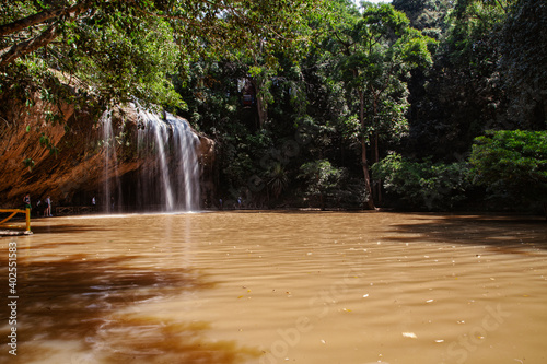 waterfall in the forest