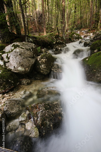 Mountain creek  Voje Valley  Bohinj  Slovenia