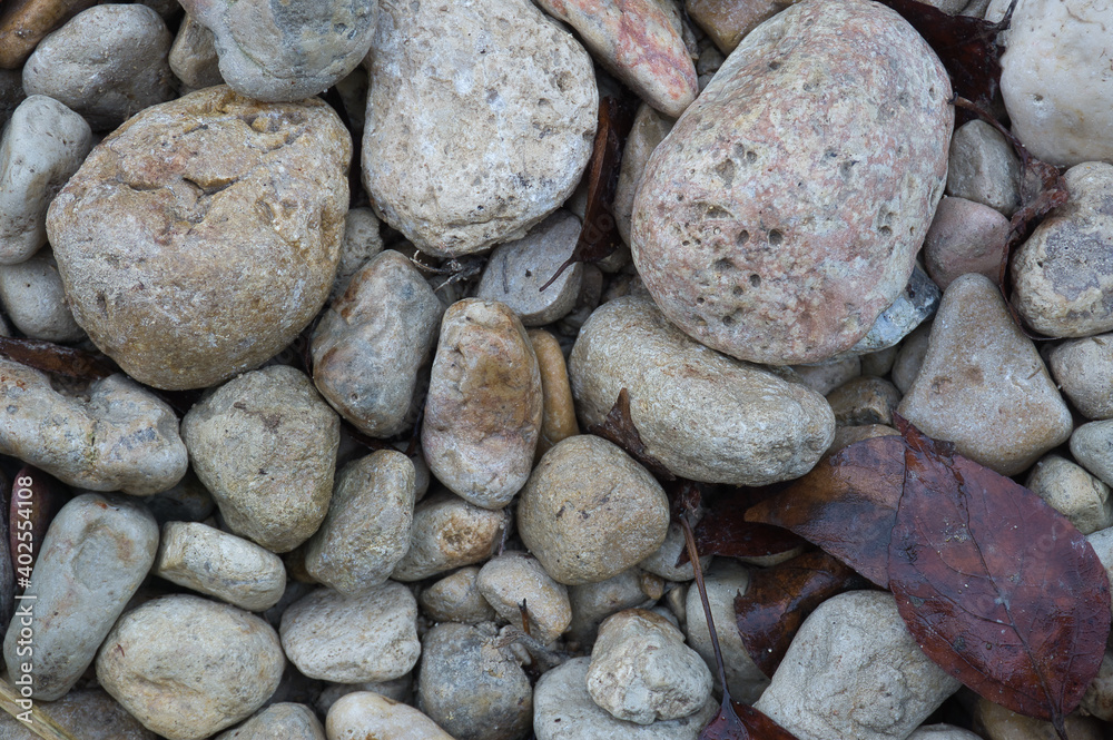 A path of large stones with fallen autumn leaves. Natural background for inserting text A path of large stones with fallen autumn leaves. Natural background for inserting text