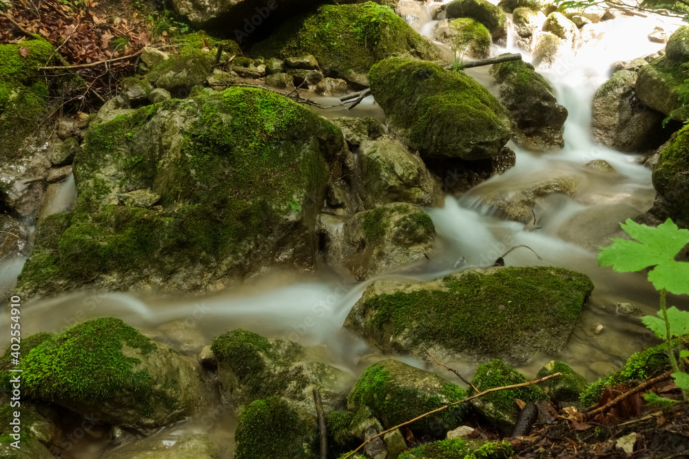 little flowing brook between green rocks with moss in the mountains little flowing brook between green rocks with moss in the mountains