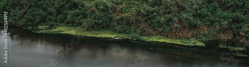 Long exposure close-up of the flowing stream. Panoramic shot. High resolution sharp photo. Panorama banner.