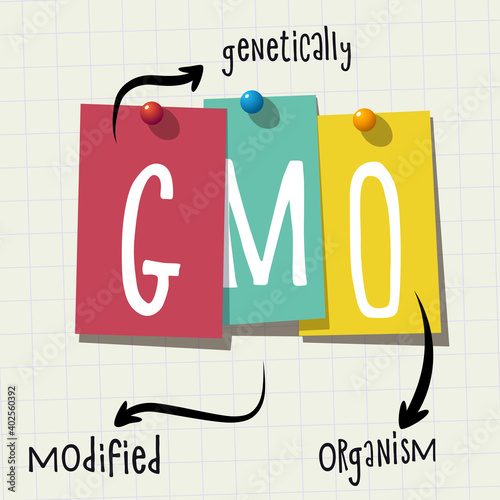 GMO: Abbreviation for Genetically Modified Organism
