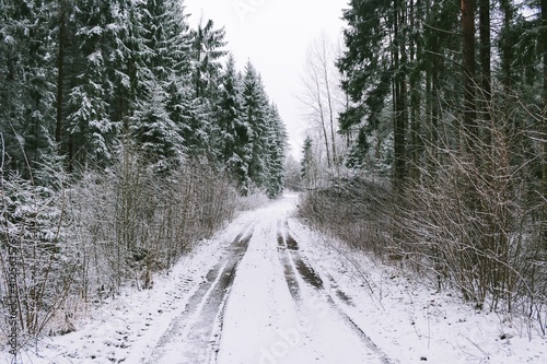 Beautiful landscape with empty snow-covered road and conifer forest on a snowy winter day