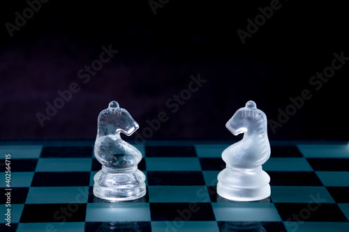 chess pieces on a chessboard. knight