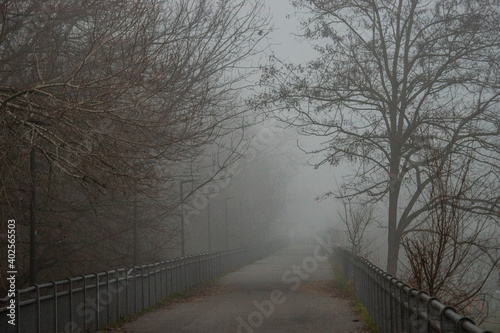 oad with autumn fog