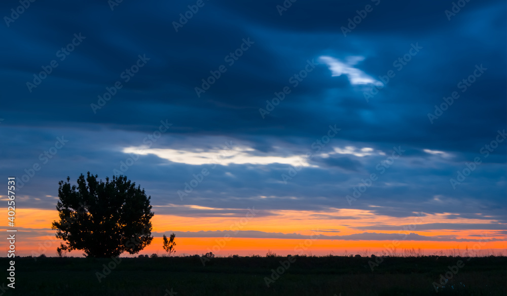 alone tree silhouette on the dense cloudy sky background at the twilight