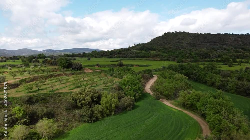 Aerial Fields Plantation in Spain