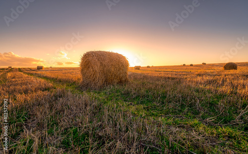 bales in the field at sunset
