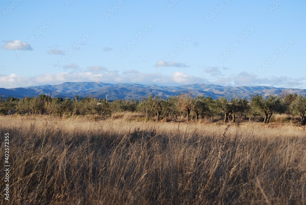 Obraz premium Bright Valencia Mountain Landscape, Spain