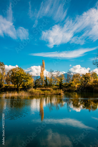 Paysage lac reflet arbres