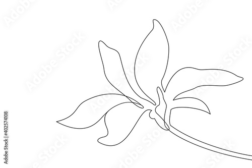 Magnolia flower drawn with one line. Fashionable style. Vector illustration.