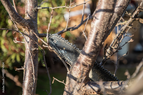 Close-up of a chainsaw chain cutting a branch