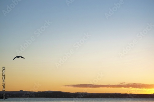 A seagull flies over the coast as the setting sun bathes the sky in oranges hues © William