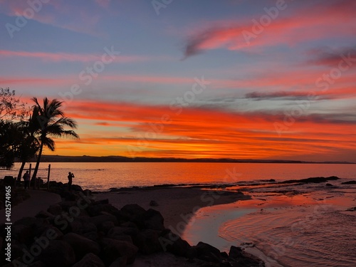 The setting sun bathes the sky in brilliant colours silhouetting a palm tree - Snapper Rocks