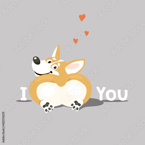 Funny corgi butt. Cute welsh corgi dog looking back. Cartoon vector happy valentines day greeting card