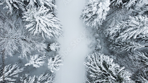 Fototapeta Naklejka Na Ścianę i Meble -  Loipe im Schwarzwald mit Schnee 