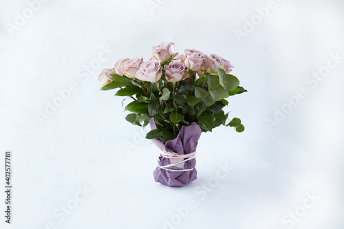 purple roses with packing pepper on a white background