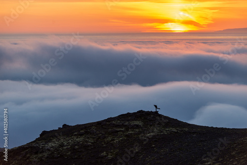  Dreamy misty landscape above the sea of clouds, mountains at sunset in Iceland © wjarek