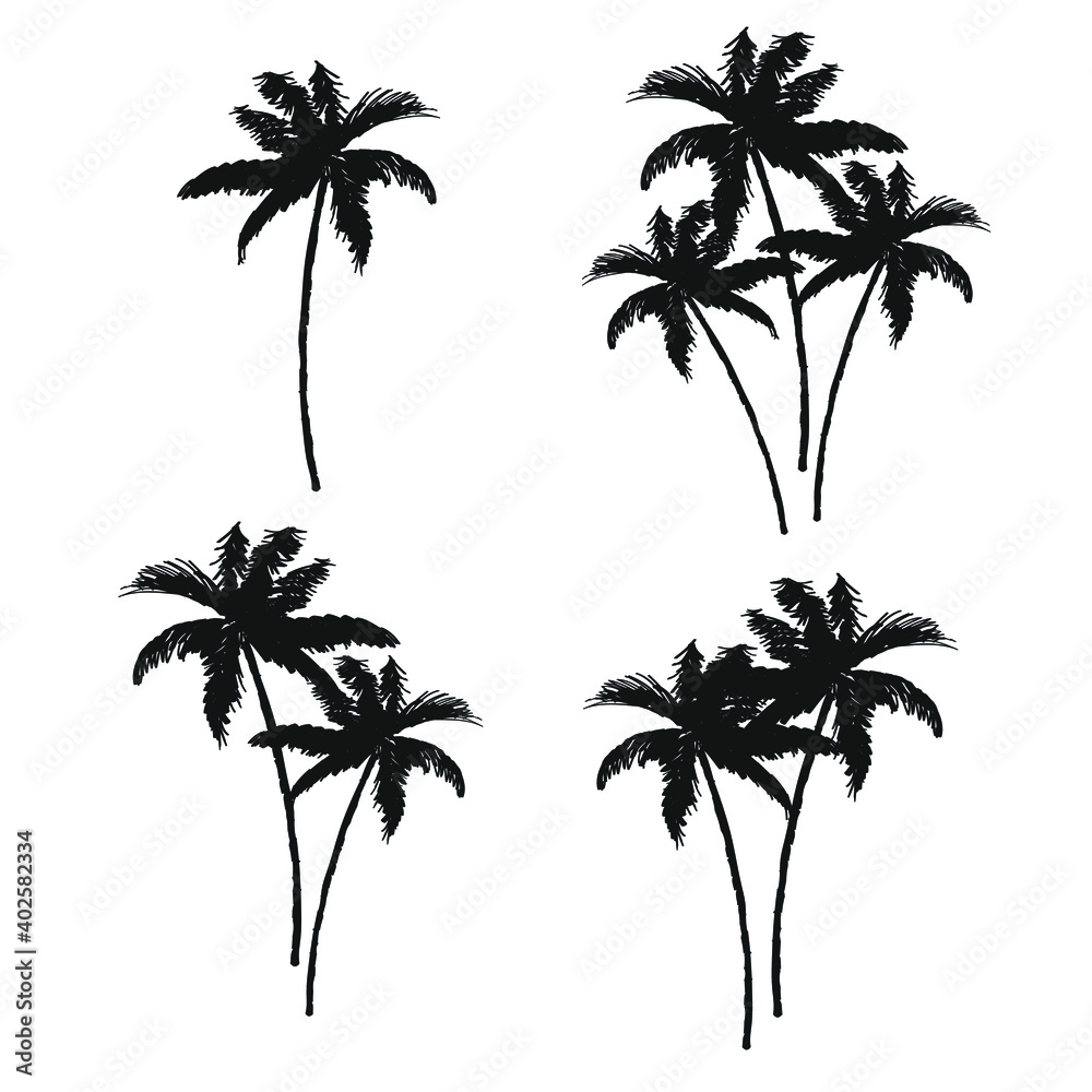 palm, tree, tropical, isolated, nature, green, white, coconut, leaf, summer, plant, palm tree, beach, branch, leaves, travel, island, illustration, palm tre, beautiful, monochrome, swimwear, jungle