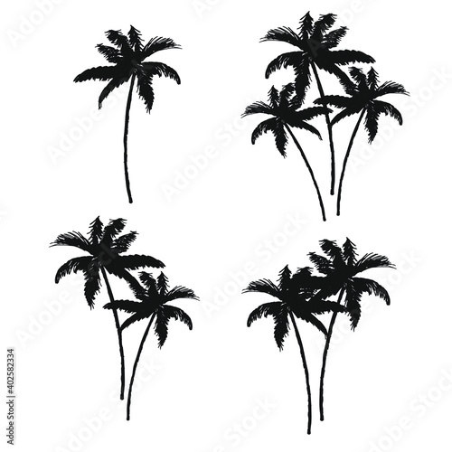 palm  tree  tropical  isolated  nature  green  white  coconut  leaf  summer  plant  palm tree  beach  branch  leaves  travel  island  illustration  palm tre  beautiful  monochrome  swimwear  jungle