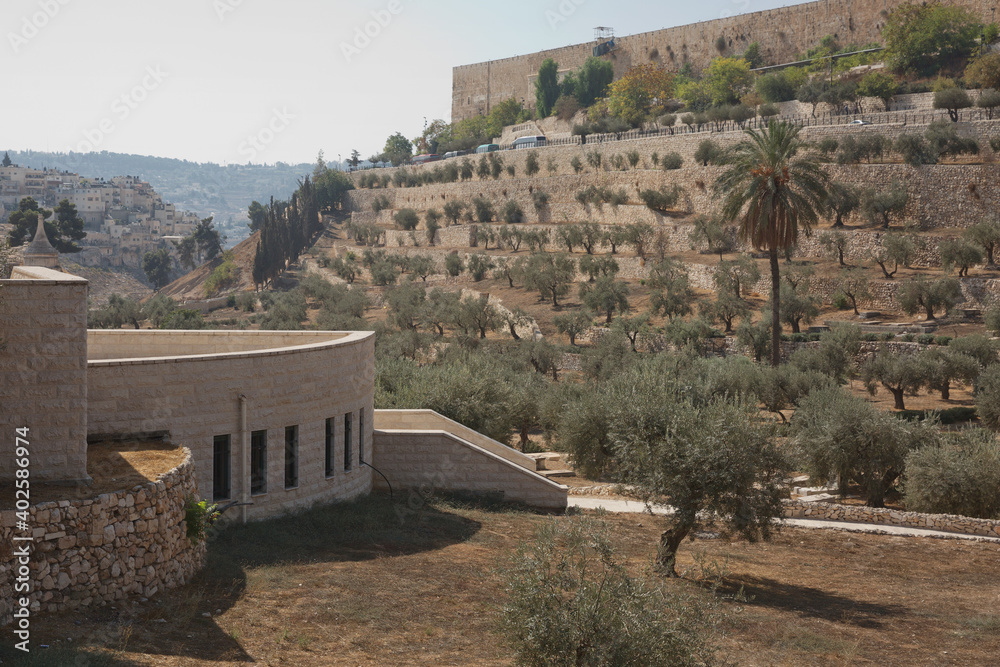 Terraces of the Kidron Valley and the the wall of the Old City in Jerusalem in Israel