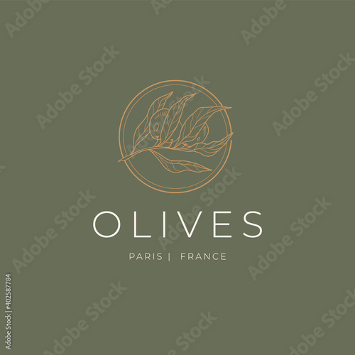 Olive oil Vector Signs or Logo Templates. Retro Floral Illustration with Classy Typography. Feminine Logo. Modern Logo Template for florist, photographer, fashion blogger, design studio.