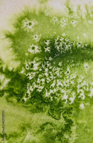 Hintergrund, grünes Aquarell mit Salztechnik wirkt wie eine Wiese oder Pflanze mit weiße Blüten oder Sternen