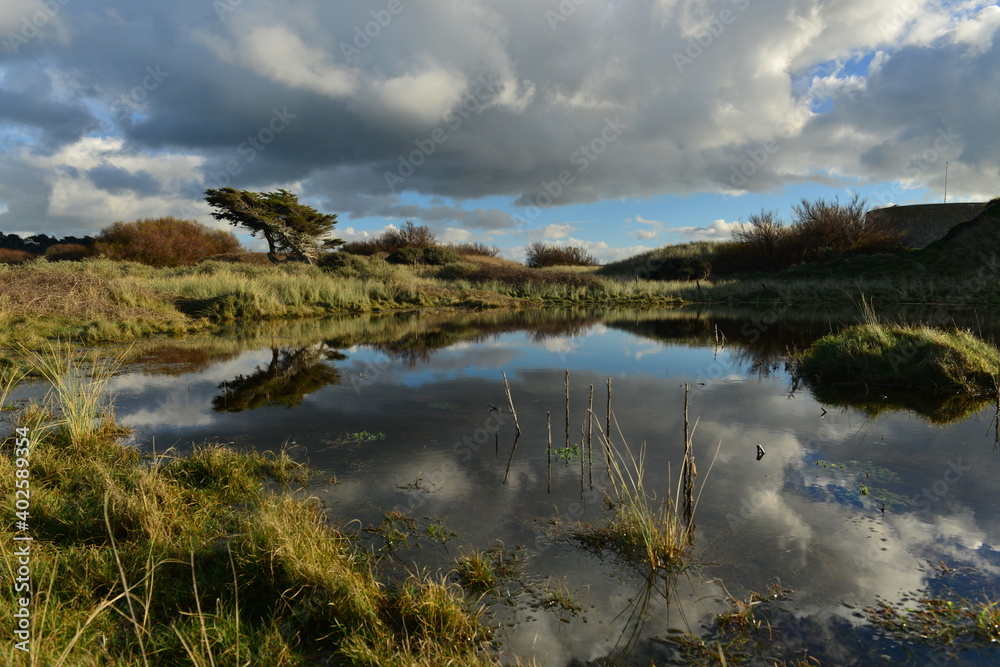 St Ouen's wetlands, Jersey, U.K. Flooded land in Winter.