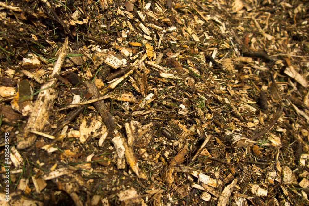 biomass in the form of wood chips with impurities lying on a heap as fuel biomass in the form of wood chips with impurities lying on a heap as fuel