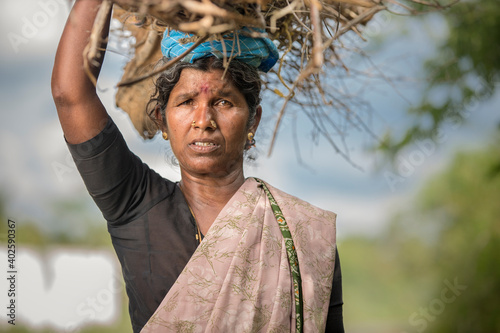 Photography Indian mid age women carrying dry sticks on hea, Tamilnadu, India