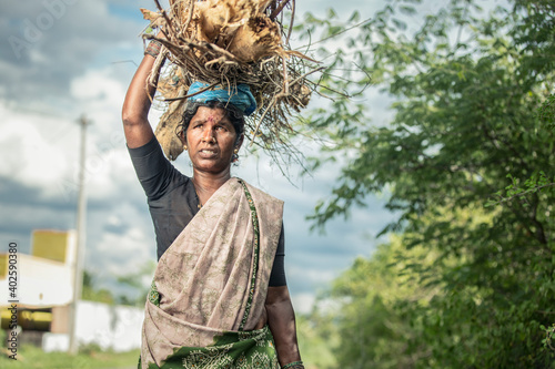 Indian mid age women carrying dry sticks on hea, Tamilnadu, India.