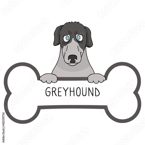 Cute cartoon Greyhound on collar dog tag vector clipart. Purebred doggy identification medal for pet id. Domestic dog for pet pooch. 