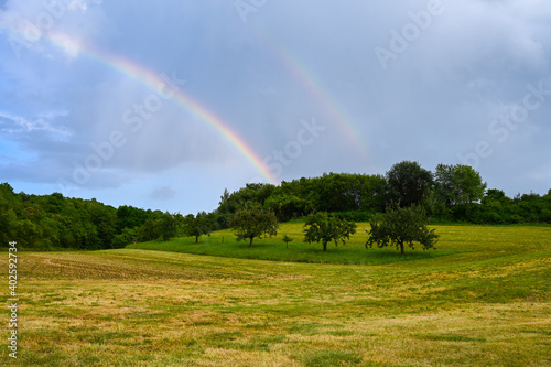 Two rainbows is shining over a forest in front of a yellow meadow.