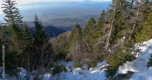 Alps mountain covered with snow in winter season in Slovenia. Beautiful white and green nature. Steep hill slope. Reveal of amazing view on large basin. Tilt up, wide angle photo
