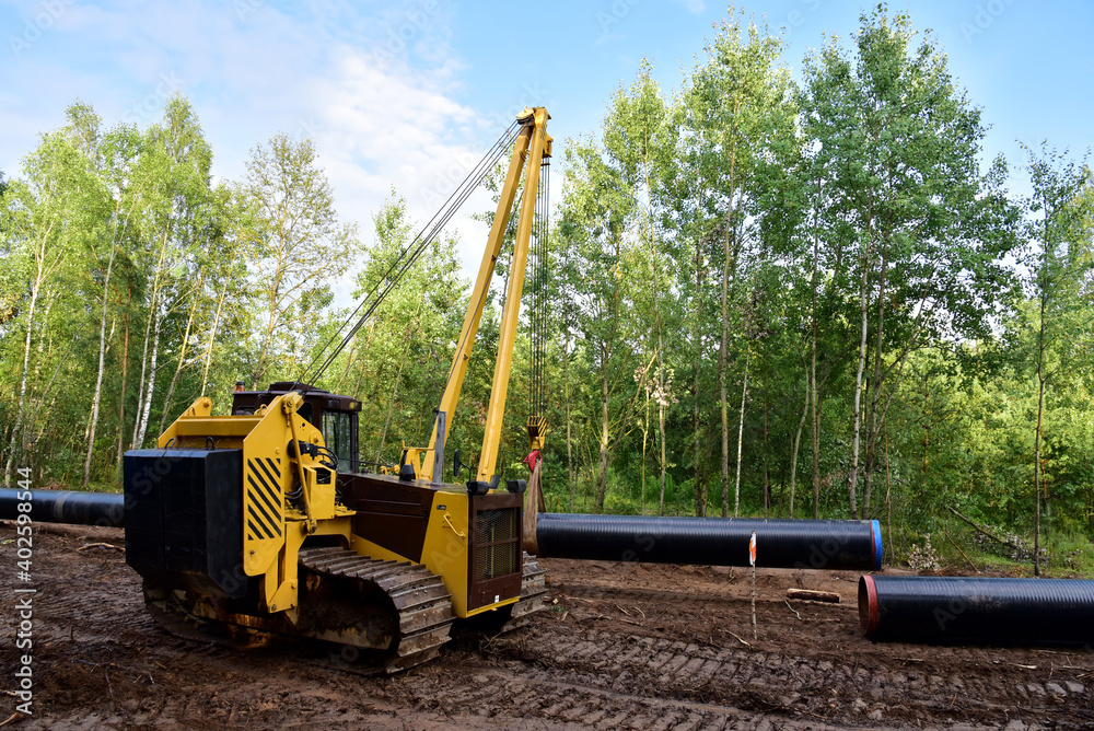 Natural gas pipeline construction work in forest area. Installation of ...