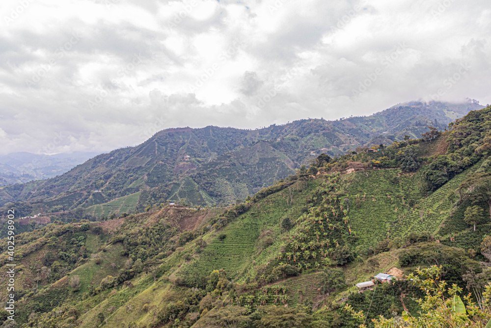 view of the mountains in Santa María Huila Colombia Coffe view of the mountains in Santa María Huila Colombia Coffe