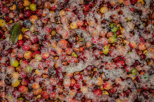 Фотография fermenting coffee