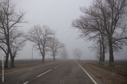 trees without leaves in the autumn in the fog by the road along which the car is driving in the distance. Dramatic mysterious landscape.