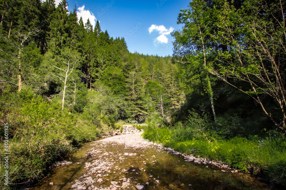 river in the mountains