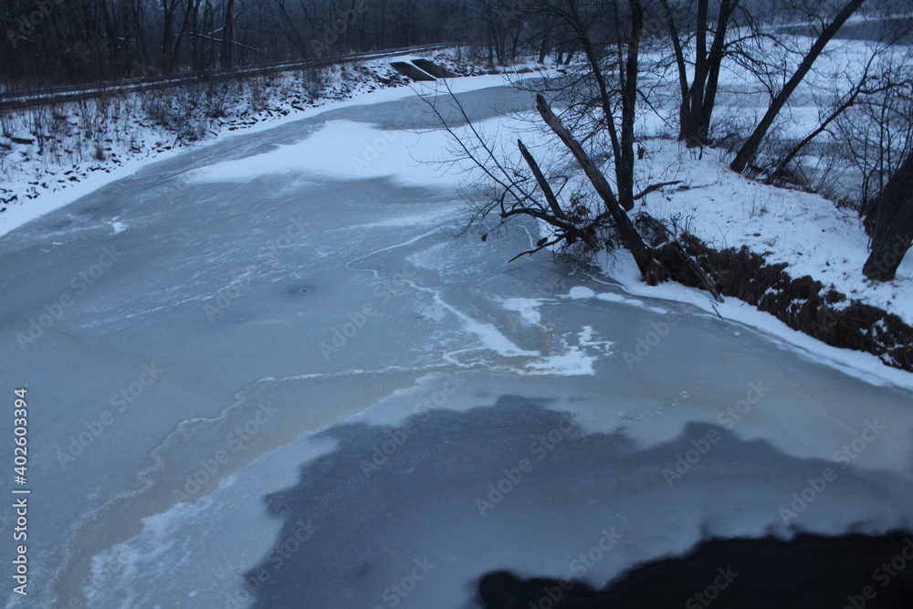 Fototapeta premium snow covered trees in winter