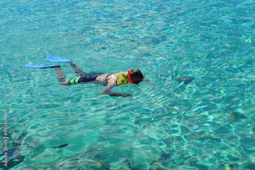 Snorkeling on top of a crystal clear blue water