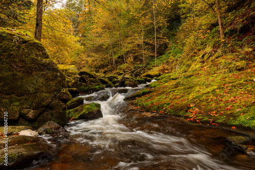 rapids in an autumn stream