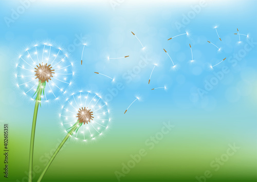 Dandelion with flying seed on sky.