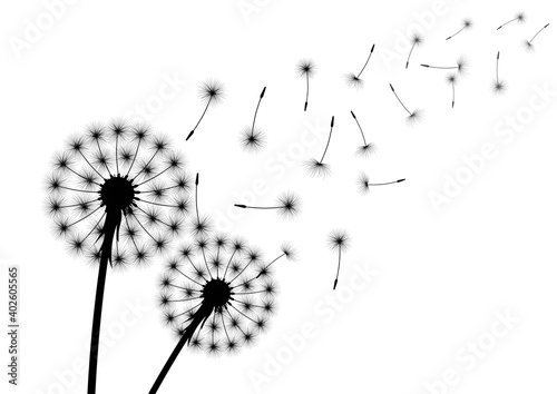 Silhouette of dandelion with flying seed or spore.