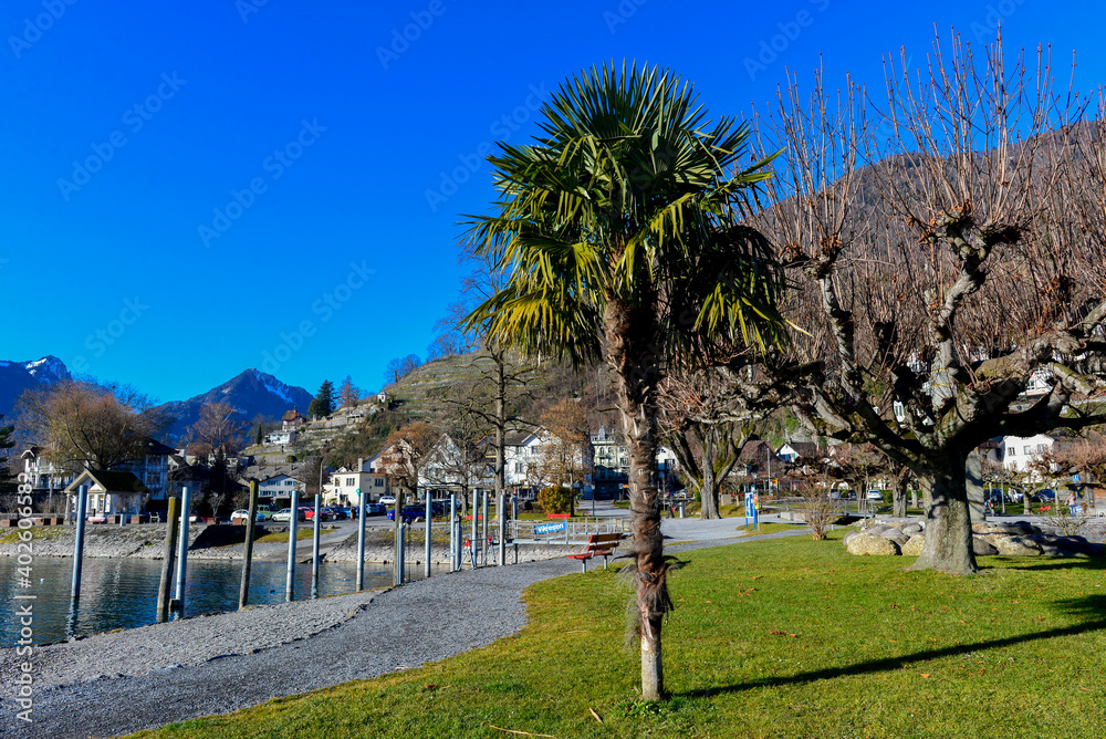 Obraz premium Weesen am Walensee / Kanton St. Gallen - Schweiz 