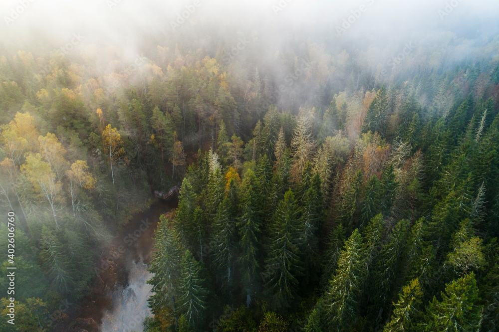 Aerial view of river surrounded by thick forest during foggy autumn morning.