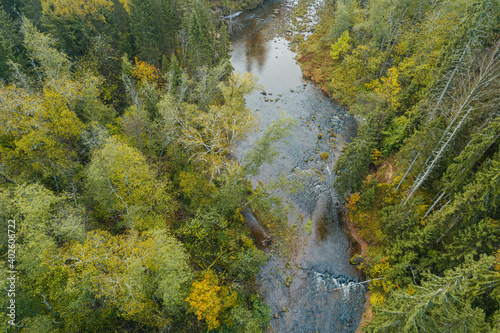 Aerial view of river surrounded by thick forest during foggy autumn morning.