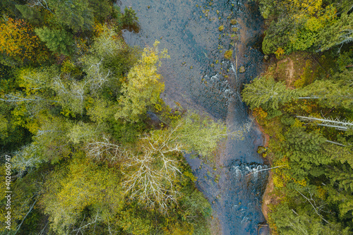 Aerial view of river surrounded by thick forest during foggy autumn morning.