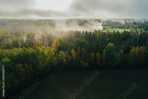 Birds eye view of thick forest during autumn sunrise with fog.